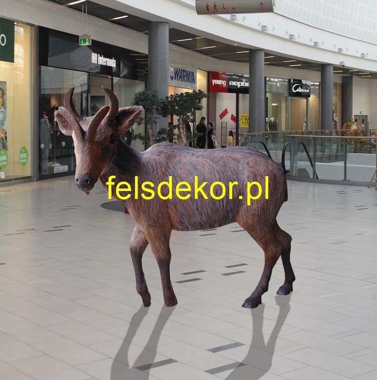picture/16_syndyoceras__Ice_Age_FORUM_Gliwice_kunst_felsen_felsdekor_dekoracje_sztuczne_skaly.jpg
