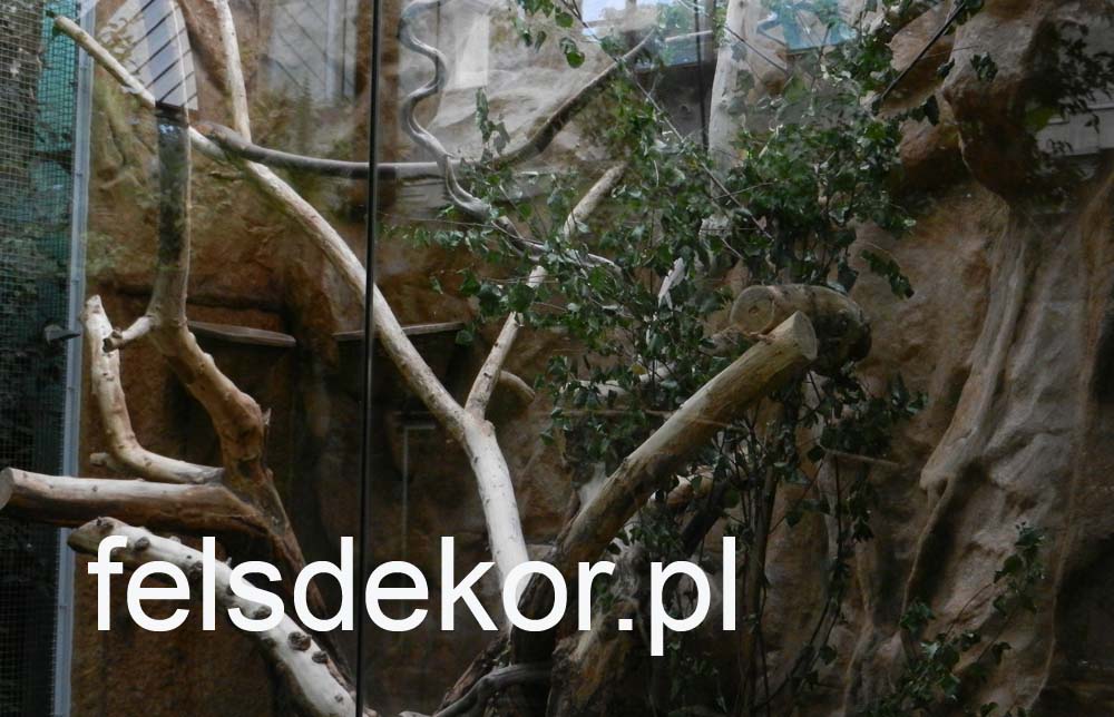picture/zoo_wroclaw_ptaszarnia_felsdekor_kunstfelsen_10_lat_20.jpg